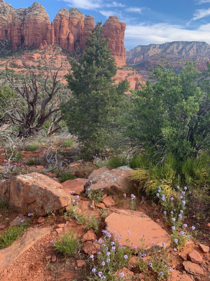 Sedona Room Homestay - Thunder Mountain Экстерьер фото